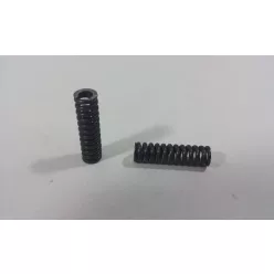ZF Nyomórugó