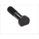 Tőcsavar M18*1,5*72