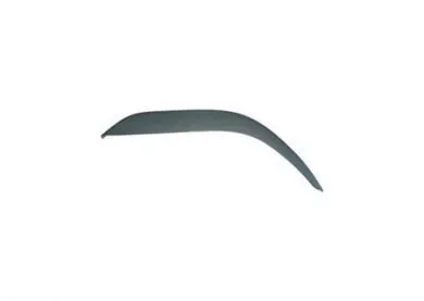 Volvo Fh2 sárvédő szegő jobb